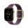 Apple 42mm Mulberry Modern Buckle - Small - 1594338 - zdjęcie 2